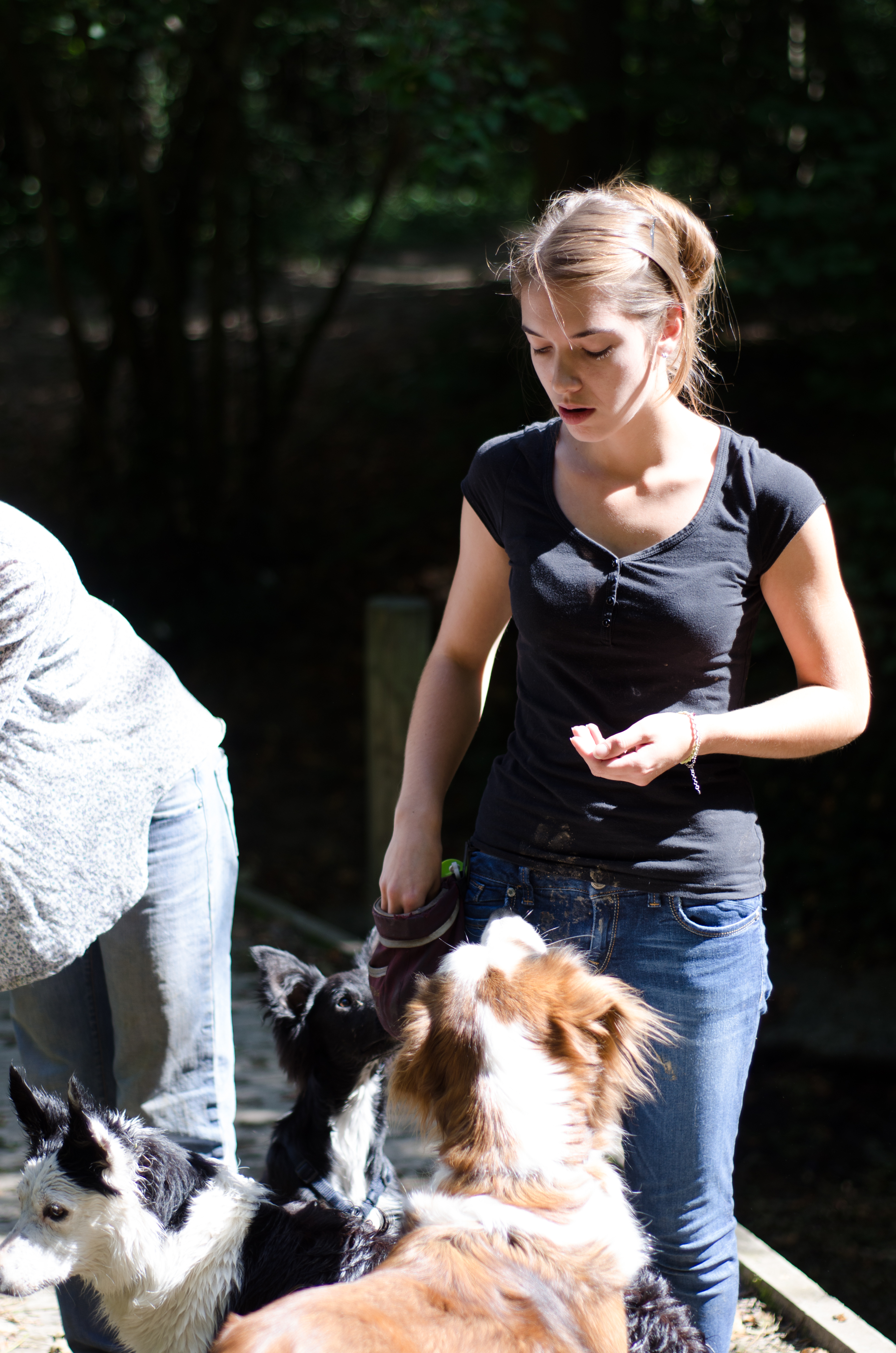 éducation et dressage de chiens Savoie